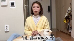 “시각장애인인 것 알지만 개는 안된다”…안내견 출입 거부 논란