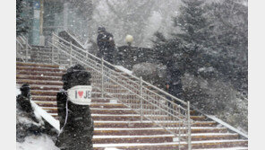 제주 산지 때아닌 대설주의보…“밤사이 3~8㎝ 쌓일 듯”