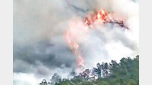中여객기, 8869m 상공서 수직 추락… 2분만에 레이더서 사라져 