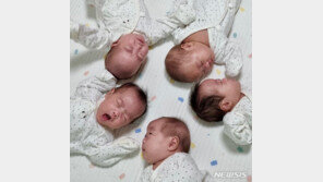 34년만에 다섯쌍둥이 출산 육군 17사단 대위부부 ‘육아전투’…“정부 지원책 절실”