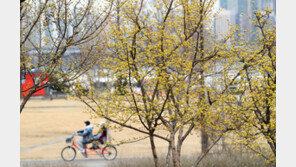 [날씨]꽃샘추위 꺾이고 전국 영상 기온 …서쪽 대기질 나쁨