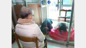 정부 “먹는치료제 고령층에 집중…요양병원 치료도 관리”