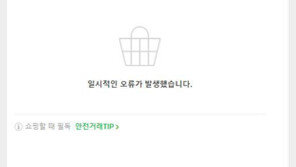 “결제가 안 돼요”…‘네이버쇼핑’ 1시간20분 오류 발생 후 정상화