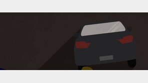 차량 훔쳐 타고 도심 활보한 겁 없는 10대 3명 ‘덜미’