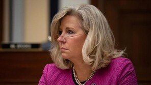 美 공화당 하원의원 “러, 화학무기 사용 ‘레드라인’으로 간주”