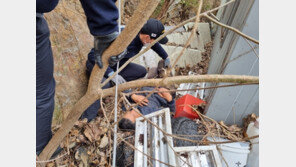악천후 극복한 수색팀의 맹활약, 60대 홀몸노인 실종 닷새 만에 구조