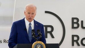 “‘쿼드’ 동맹국, 러 제재 가담해야”…美, 인도에 공개적 불만 표출