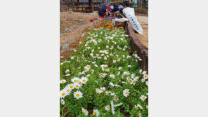 훈훈한 봄, 꽃길만 걸으소서