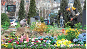 서울광장 봄맞이 화단 정비작업