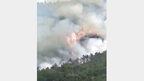 동방항공 여객기 추락으로 예약 취소 쇄도…주가도 6%↓