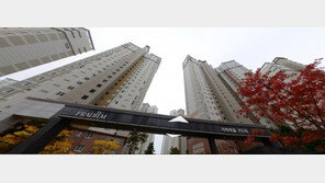 “당첨땐 2,3억 차익” 세종 로또 특공 4만명 몰려 