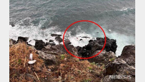 80대 노모 차량에 태우고 제주 해안절벽으로 돌진한 아들