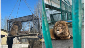 IS와도 싸운 英군인, 우크라 최전선에서 ‘라이언 구하기’