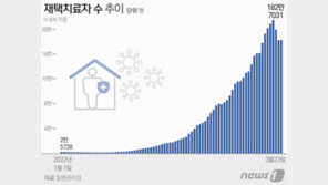 재택치료 182만7031명 ‘소폭 증가’…중환자 병상가동률 64.4%