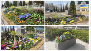 이번 주말 서울광장·남산으로 봄꽃 나들이 가보세요