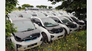 BMW가 156만원에…한라산 중턱 방치 전기차 무더기 낙찰