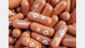 식약처, 먹는 코로나 치료제 ‘라게브리오’ 긴급사용승인…임부·18세 미만 제외