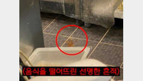 “이 음식, 바닥에 떨어졌던 거예요” 양심 고백한 배달기사