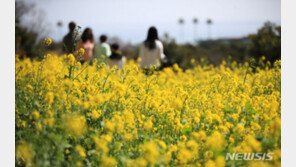 [날씨]목요일 낮 12~18도 포근…경기북부·강원영서 빗방울