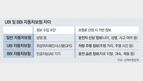 AI가 운전자 습관 따라 보험료 산정… ‘BBI 보험’ 곧 나온다