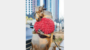 [고양이 눈]고백 연습