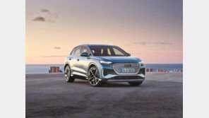 판매량으로 인정받은 ‘e-트론’ 라인업 확대