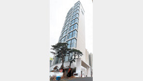 ‘더펜트하우스 청담’ 공시가 169억… 2년연속 1위 