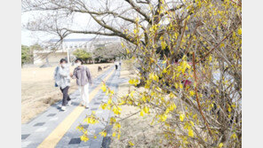 출근길 다소 쌀쌀, 낮부터 따뜻해져…충북·경북 미세먼지 ‘나쁨’