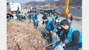 ‘플로킹’ 해안정화활동