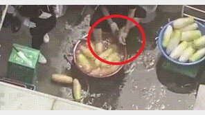 檢, 무 닦던 수세미로 발 닦은 족발집 조리장에 징역 8개월 구형