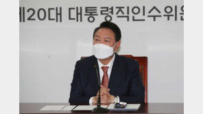 인수위 “대검, 尹 당선인 사법 개혁 공약에 적극 협조하기로”