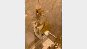 “휴지 걸이마저 금칠”…푸틴 8000억 초호화 요트 내부 공개