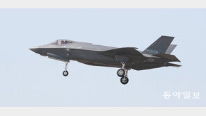 [단독]軍, 김정은이 두려워하는 F-35 30대 ‘엘리펀트 워크’ 추진
