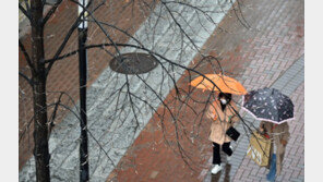 밤부터 전국 비…제주도·남해안 태풍급 강풍 동반 폭우