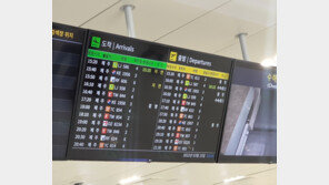 ‘태풍급 강풍’에 나무 넘어지고 비행기 결항…전국서 피해 잇따라