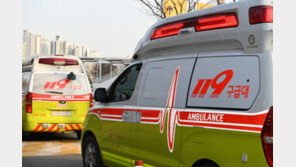 2시간 넘게 병원 찾다 구급차에서 출산한 코로나 확진 임산부