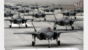軍, F-35A ‘엘리펀트 워크’ 훈련 공개[청계천 옆 사진관]