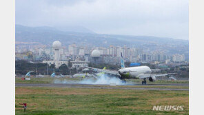 “유리창 깨지고, 가로수 쓰러지고”…제주 강풍피해 속출