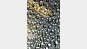 [고양이 눈]똑같아요