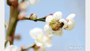 찬 공기 남하에 내일 아침 쌀쌀…15도 내외 일교차 주의