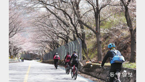 섬진강 자전거 동호인 행렬 
