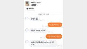 여성 신체 사이즈 묻더니 “술 한 잔 어떠세요”…당근마켓 이용자 논란