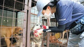 반려동물이든 아니든, 모든 생명이 존중받는 사회를 향해 