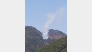 삼척 가곡면 산불 1시간20분만에 진화…성묘객 실화 추정