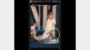 美 오스카 뒤풀이 행사에 등장한 ‘韓 민화’ 드레스