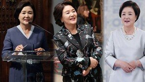 與 “김정숙 여사 의상비 논란 근거없어…촉발 자체 저의 의심”