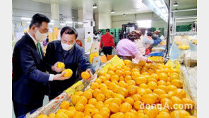한국농수산식품유통공사, 대구·경북 농수산 현황 점검…특산물 활성화 방안 논의