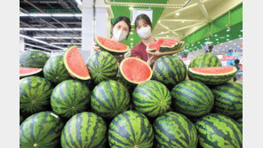 “겨울 이겨낸 수박 맛보세요”