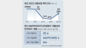 “빚더미 위기서 희망” 신용보험 뜬다