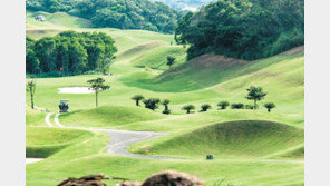 그린 위, 압도적 비거리로 완성하는 나만의 프리미엄